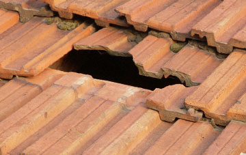 roof repair Brignall, County Durham